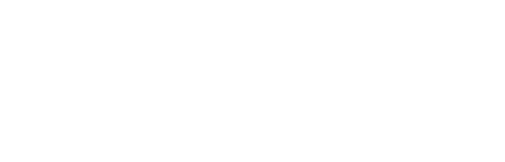 The Employment Solicitor